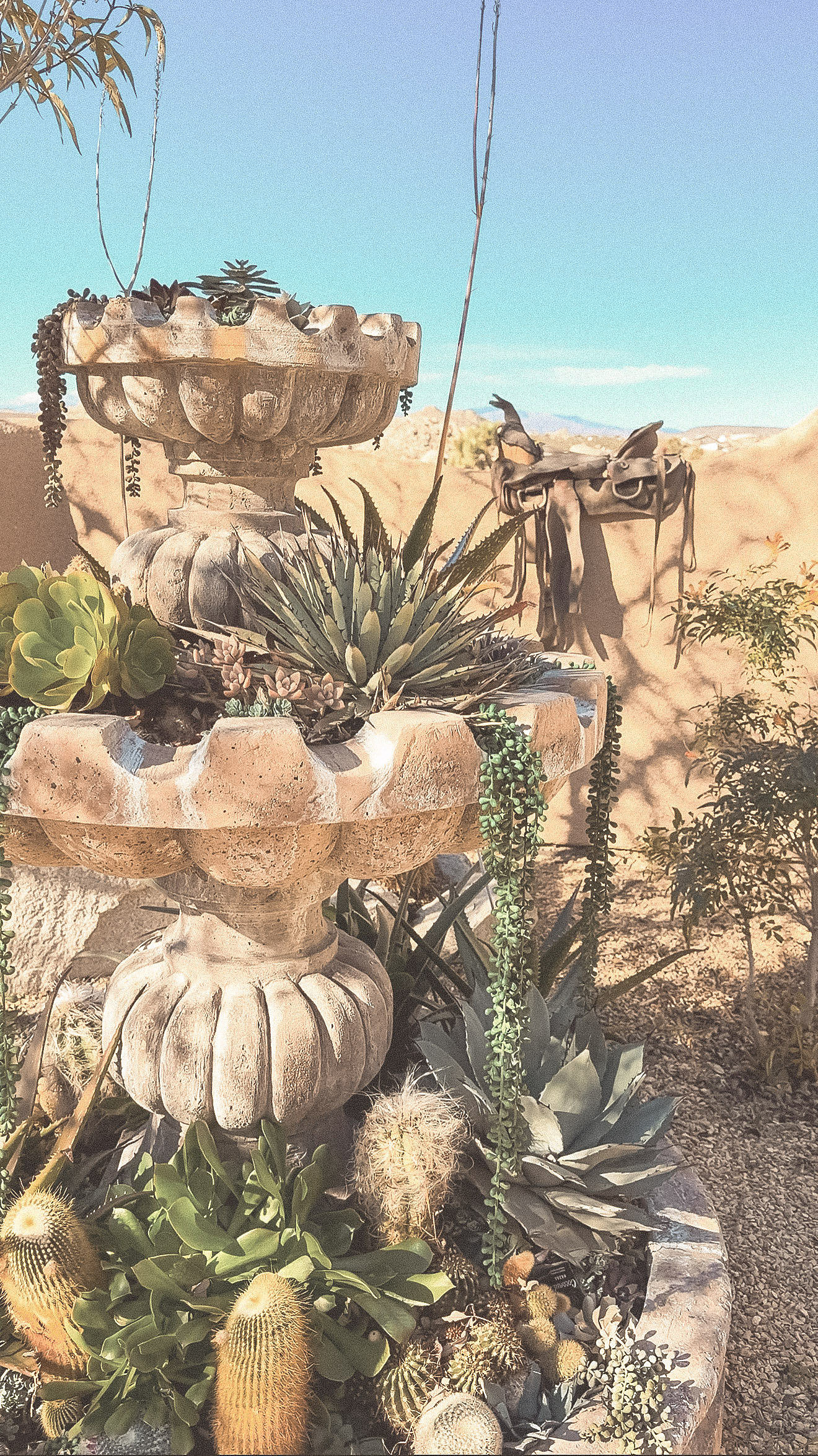 Joshua Tree Retreat