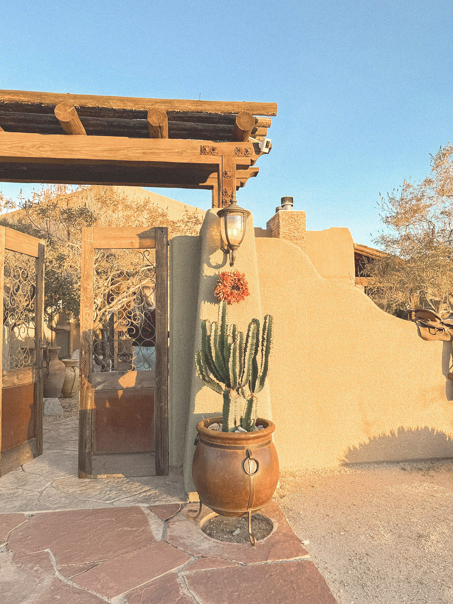 Joshua Tree Retreat