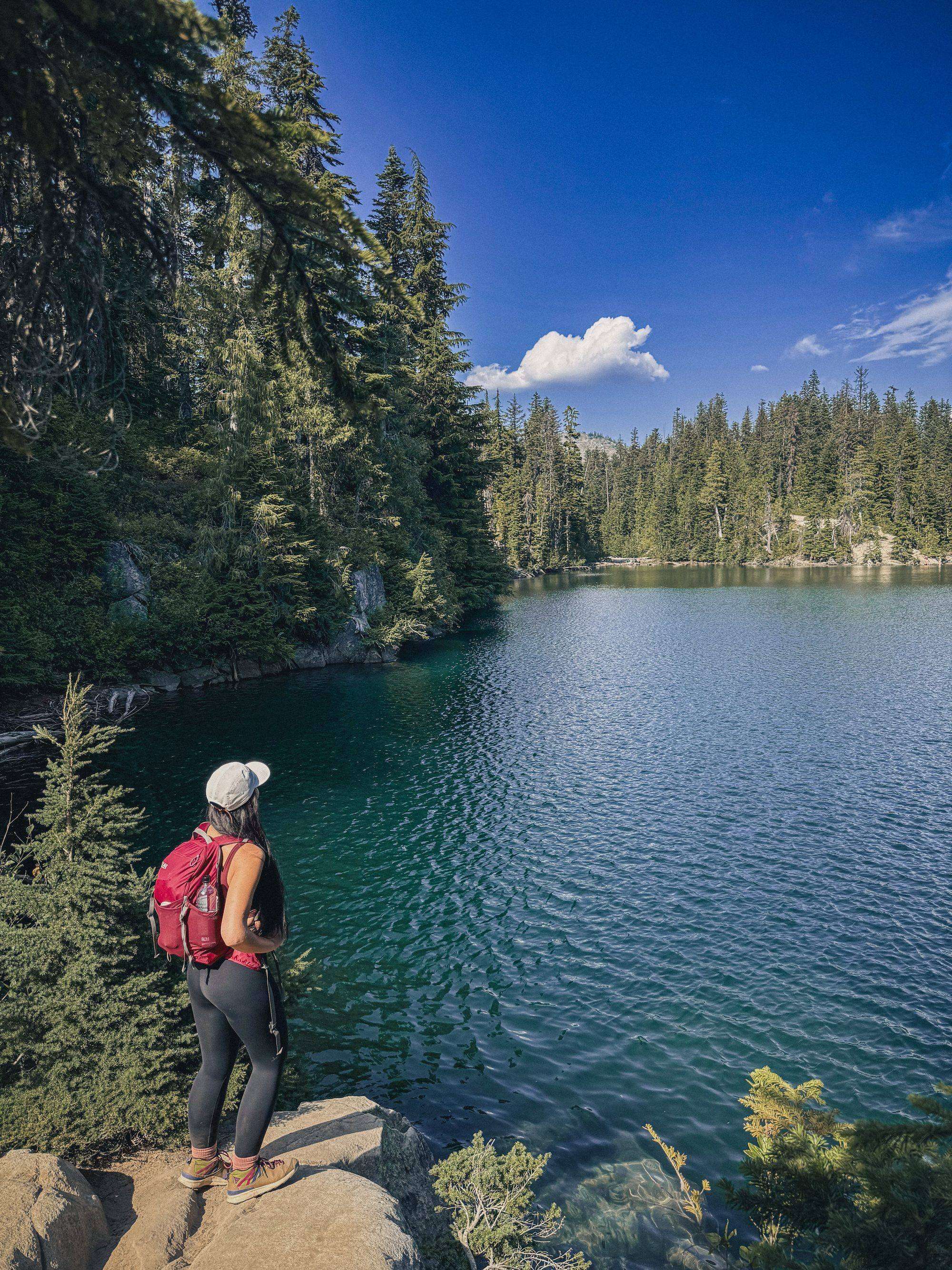 Mount Rainier & Olympic National Park
