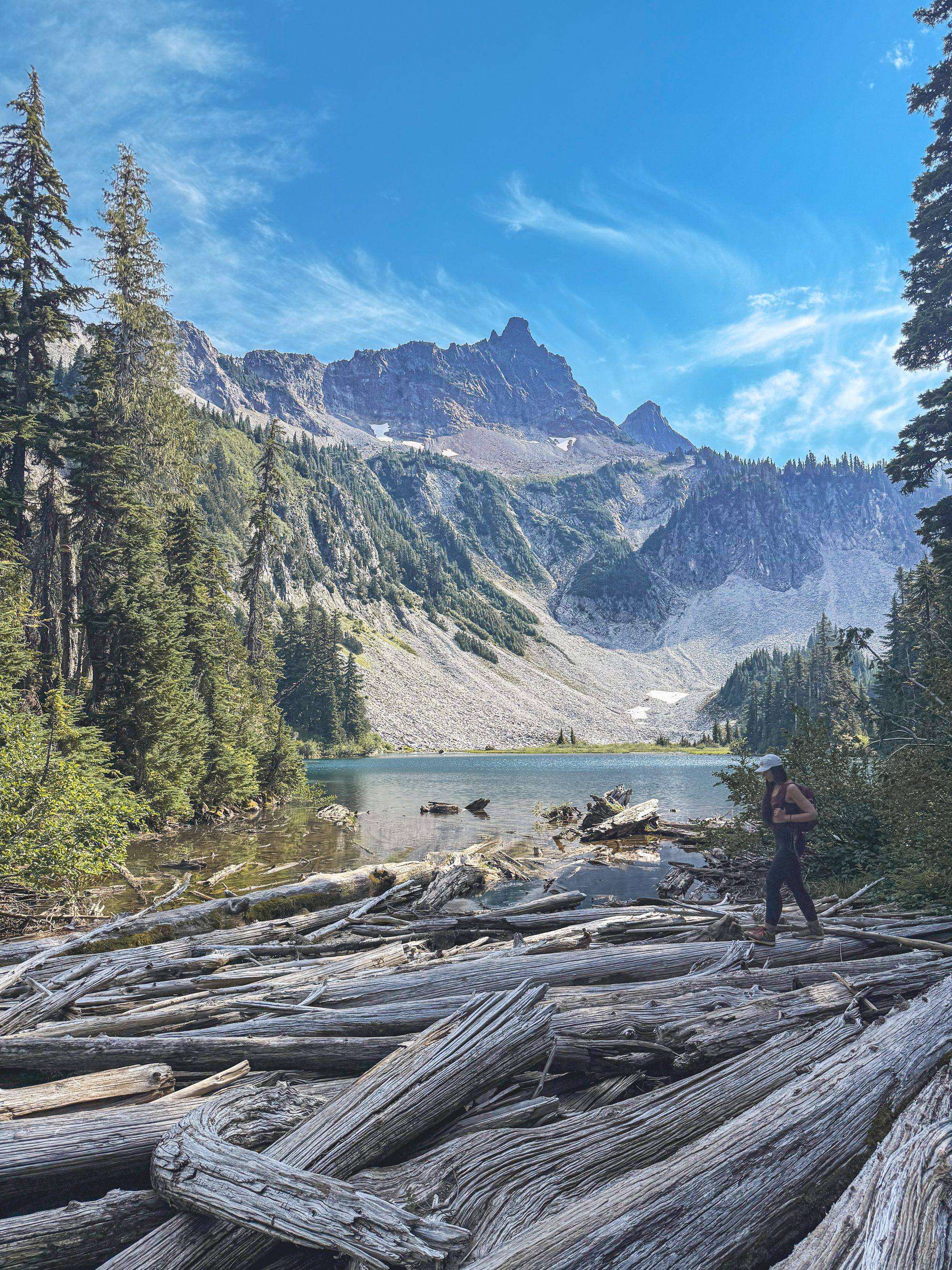 Mount Rainier & Olympic National Park