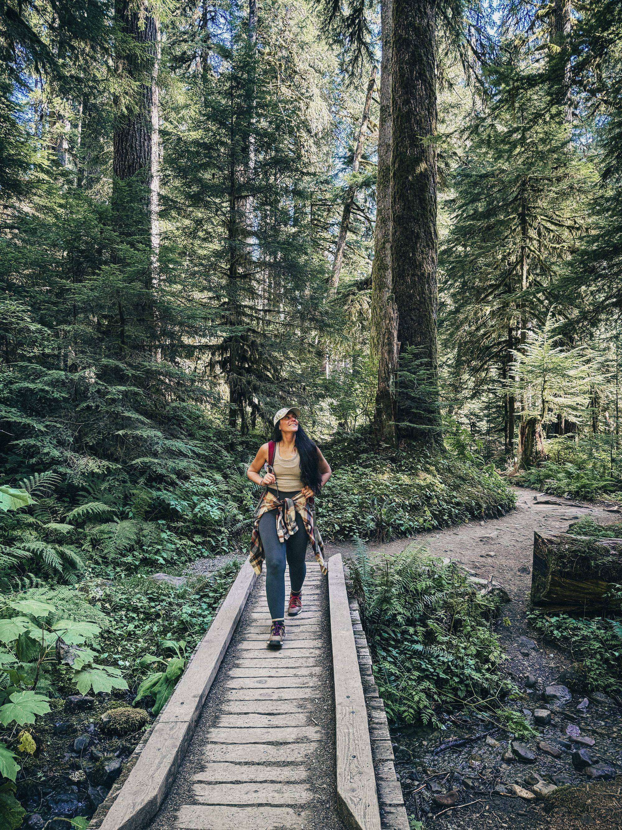 Mount Rainier & Olympic National Park